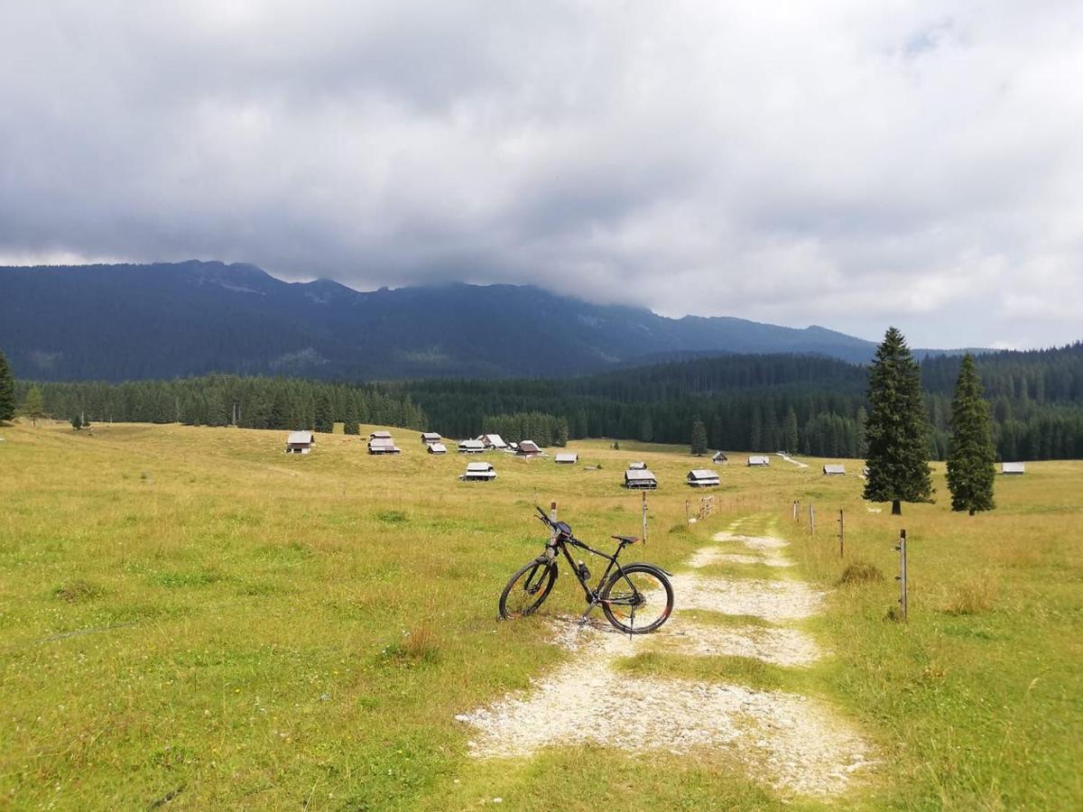 Apartma Pri Bregarju Apartment Bohinj