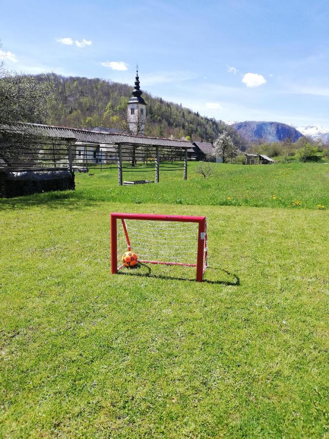 Apartma Pri Bregarju Apartment Bohinj
